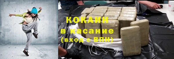 дживик Снежногорск