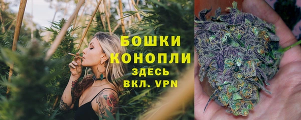 дживик Снежногорск